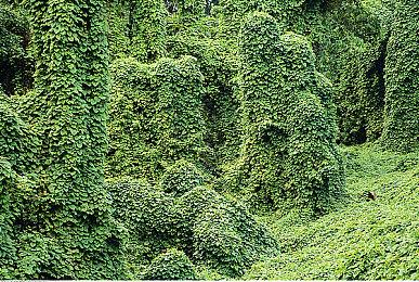 《演灭》全新实机试玩片段公开 支持中文