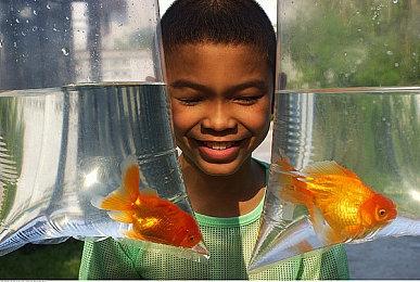 游戏开发者对Xbox随处游玩功能的支持兴趣并不浓厚